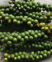 Clusters of pebbercorns, the fruits of Black pebber (Piper nigrum)