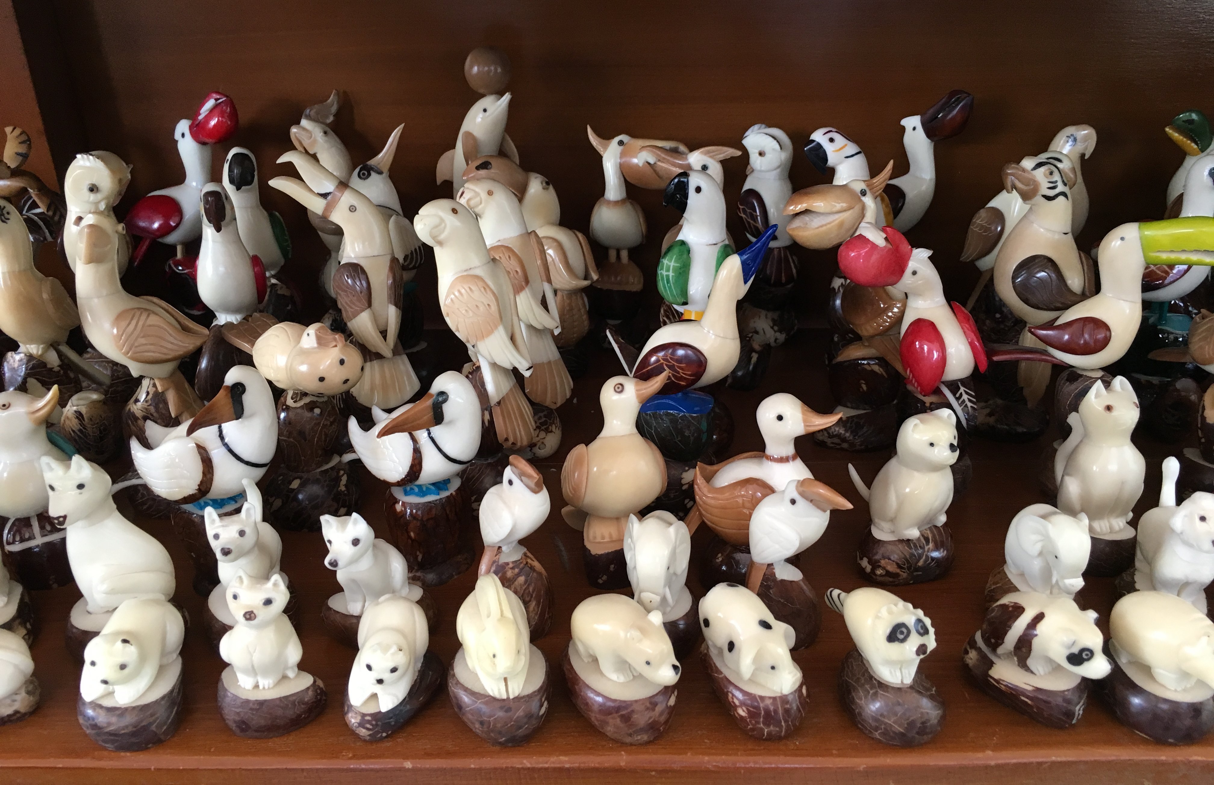 Figures made from ivory palm - Phytelephas aequatorialis
