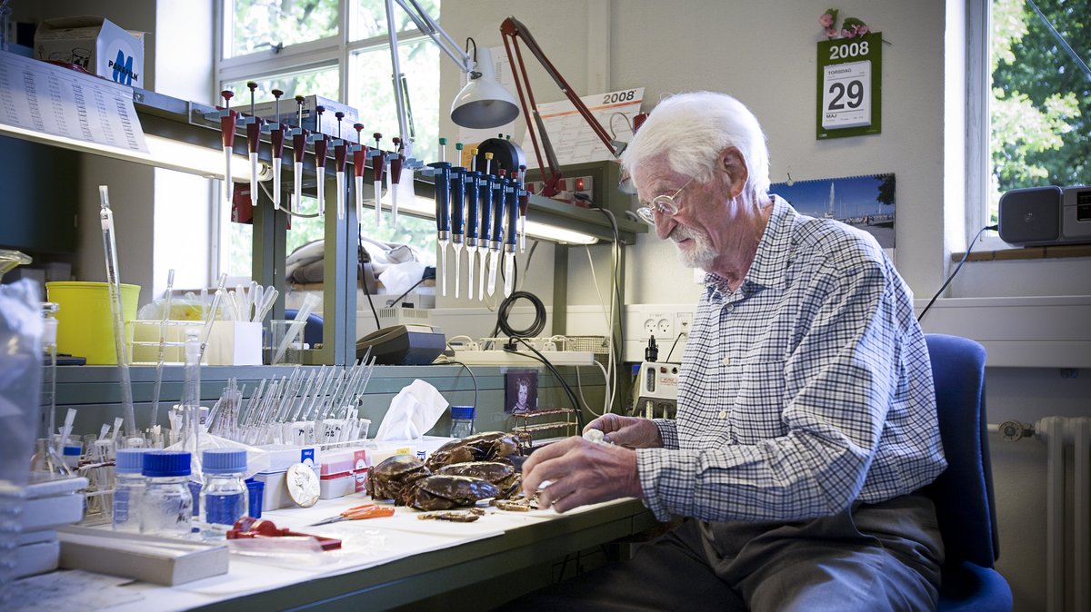 Jens Chr. Skou i sit laboratorium i 2008 