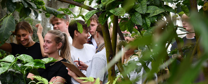 Elever fra gymnasiet i Væksthusene