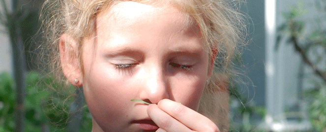 Billede af pige der dufter til plante i Væksthusene