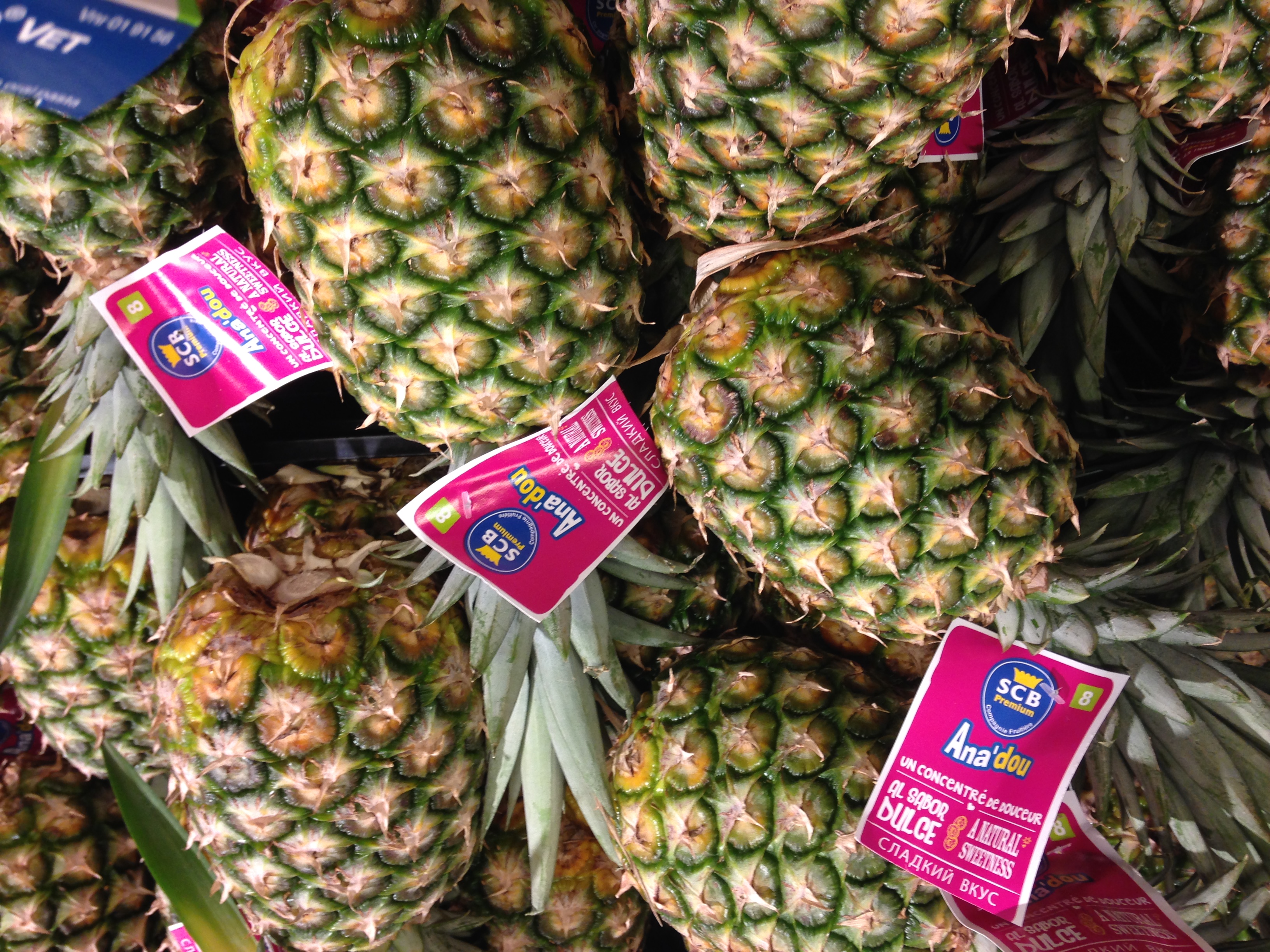 Ananasfrugter. Hvert af de små felter er et bær.