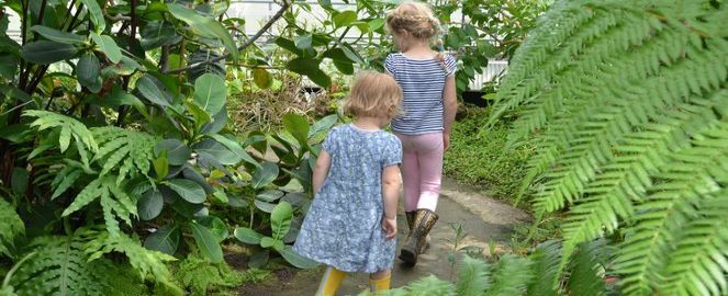 Explore the Greenhouses in the Botanical Garden