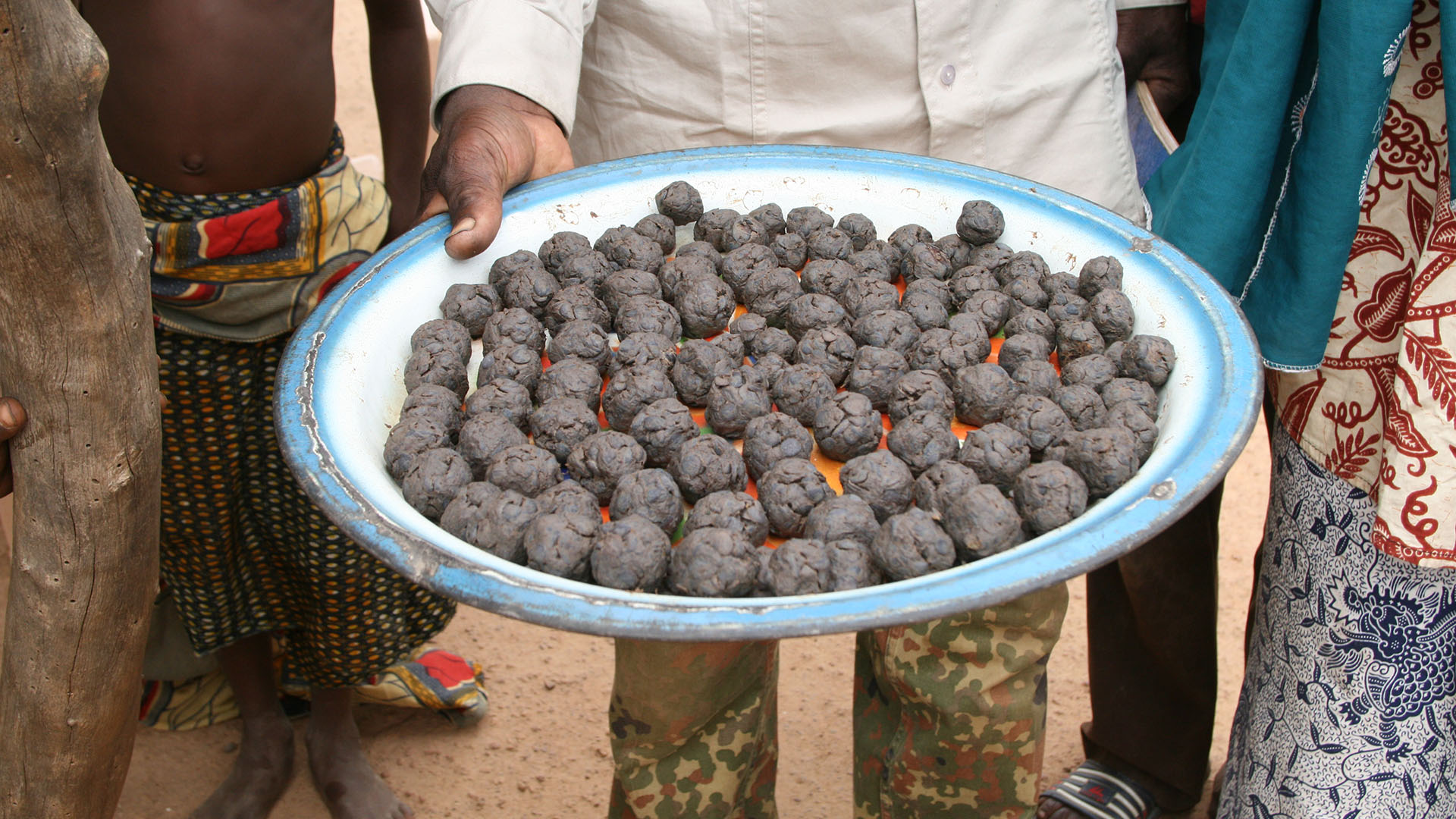 Sumbala, produced from fermented parkia seeds, is used as a seasoning in West African cuisine.