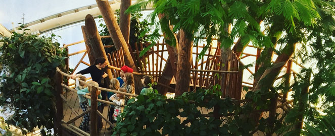 I påsken kan du gå på opdagelse i Væksthusene