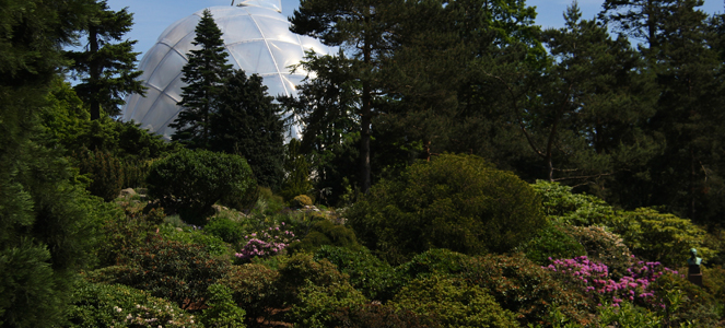 Botanical Garden, Aarhus. Photo: The Science Museums